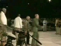 VOILA